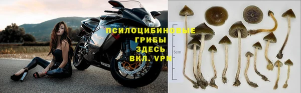 2c-b Ступино