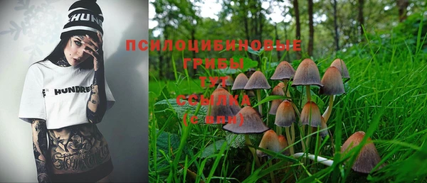 COCAINE Гусиноозёрск